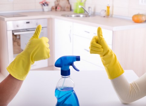 Detailed carpet care process highlighting stain removal and fiber protection