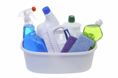 Secure carpet cleaning payment interface with encryption protection