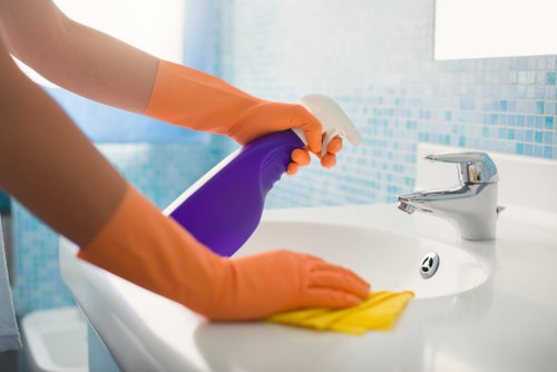 Clean and fresh carpet after pet stain odour removal