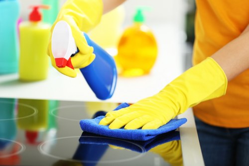 Experienced carpet cleaning specialists working on a high-traffic home carpet