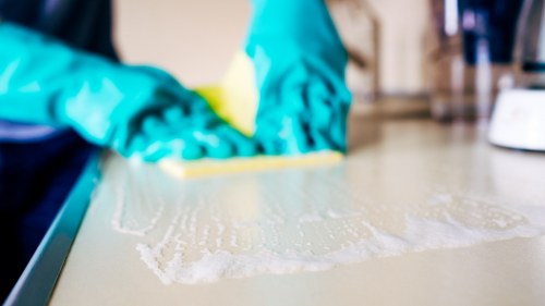 Carpet cleaning issue documentation and assessment process