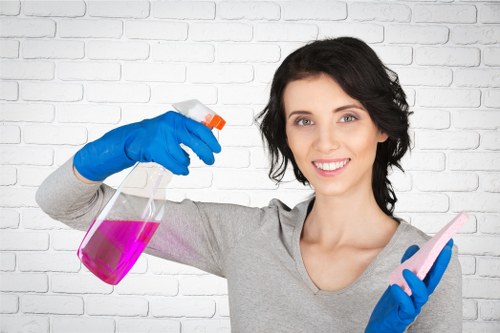 Deep cleaning process removing dirt and stains from a rug