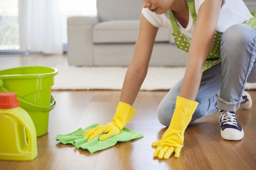Enzyme cleaning process for pet urine stains in a home