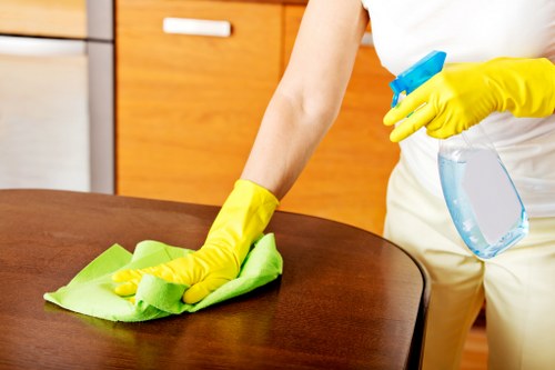 Stain and odor removal for sofa cleaning